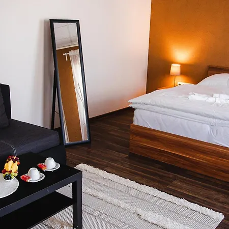 Aerocafe 度假村 帕蒂赞斯克