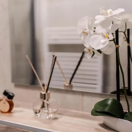 度假村 Aerocafe *