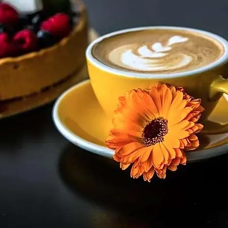 Aerocafe * Simony
