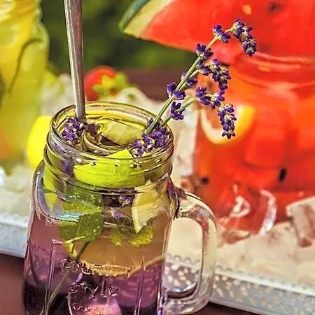 Üdülőközpont Aerocafe