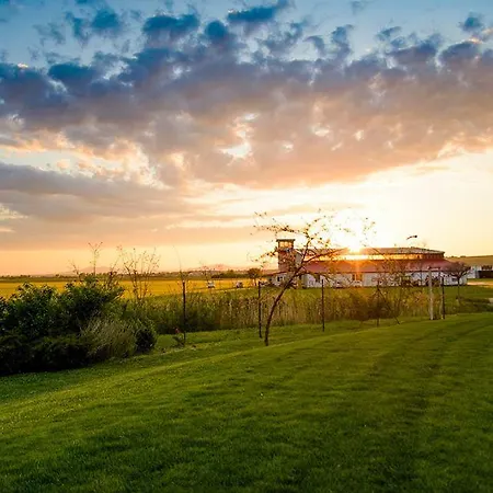 Aerocafe 度假村 *