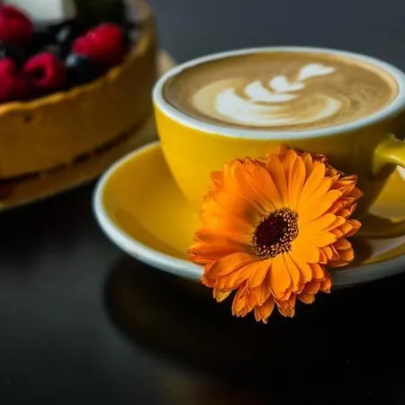 Aerocafe